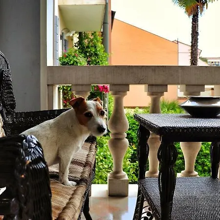 Maison Matilda - Luxury Guest house